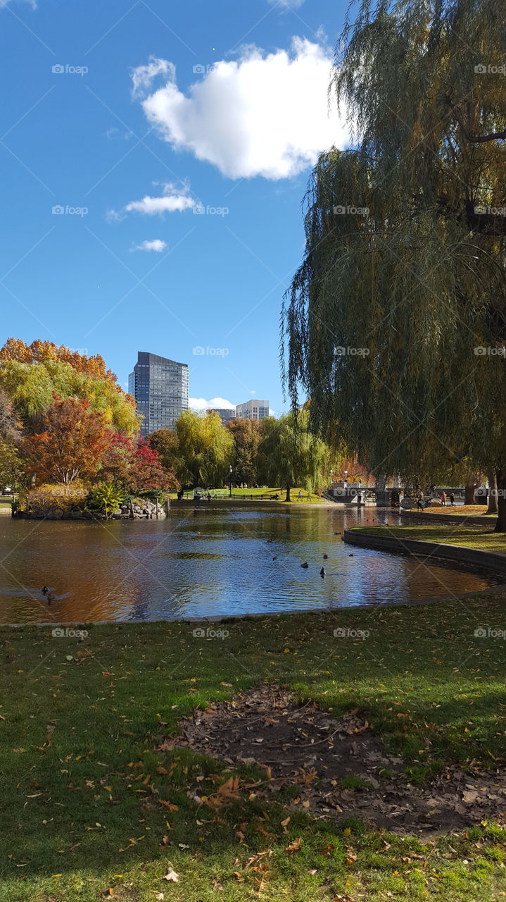 Boston park
