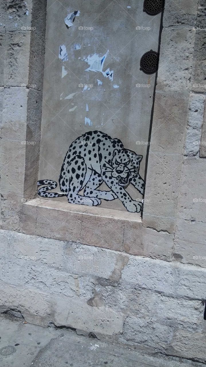 gepard