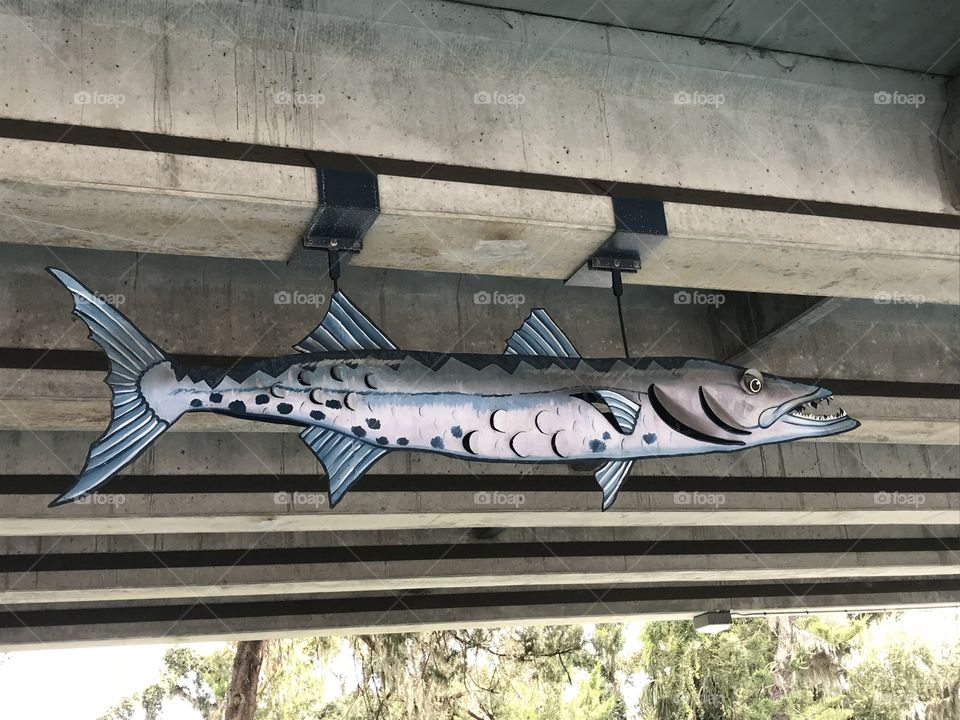 Fish art in New Smyrna, Florida