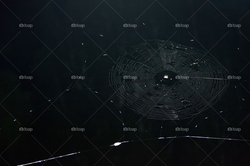 An off-centered spider web with appendages and a spider at the center and bugs caught in it at night with a black sky