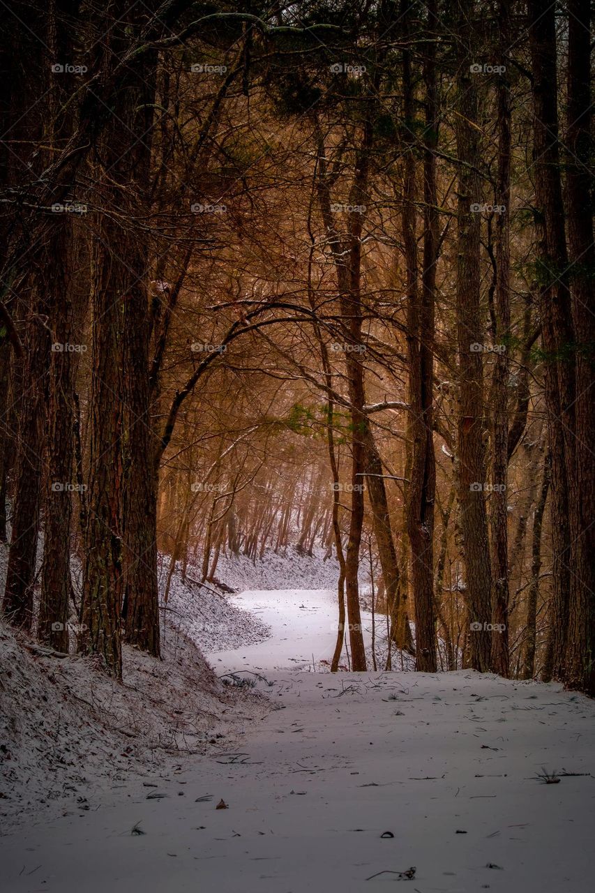 Hold your chin up, as there’s brighter trails ahead. Grundy Lakes Park, Tracy City, Tennessee. 