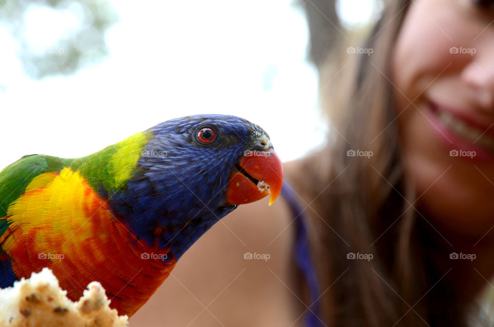 Woman feeding a rainbow lorikeet