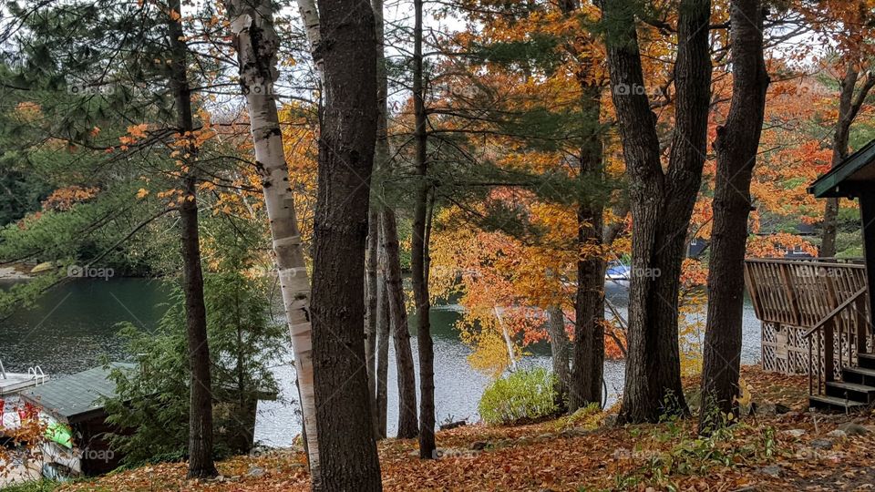 Autumn colours at the lake