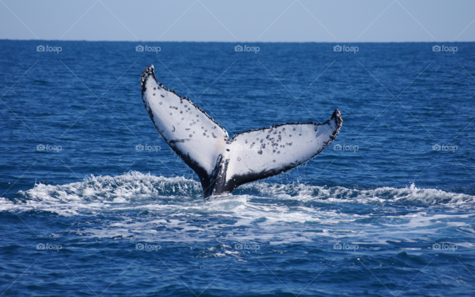 Sea, Water, Ocean, No Person, Outdoors