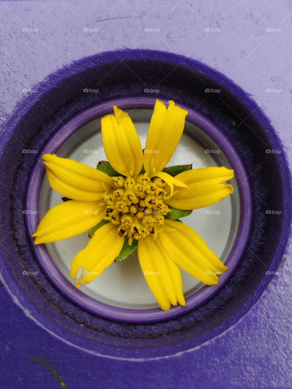 Capture of power colour