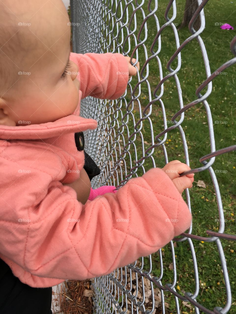 Looking through the fence (in color)