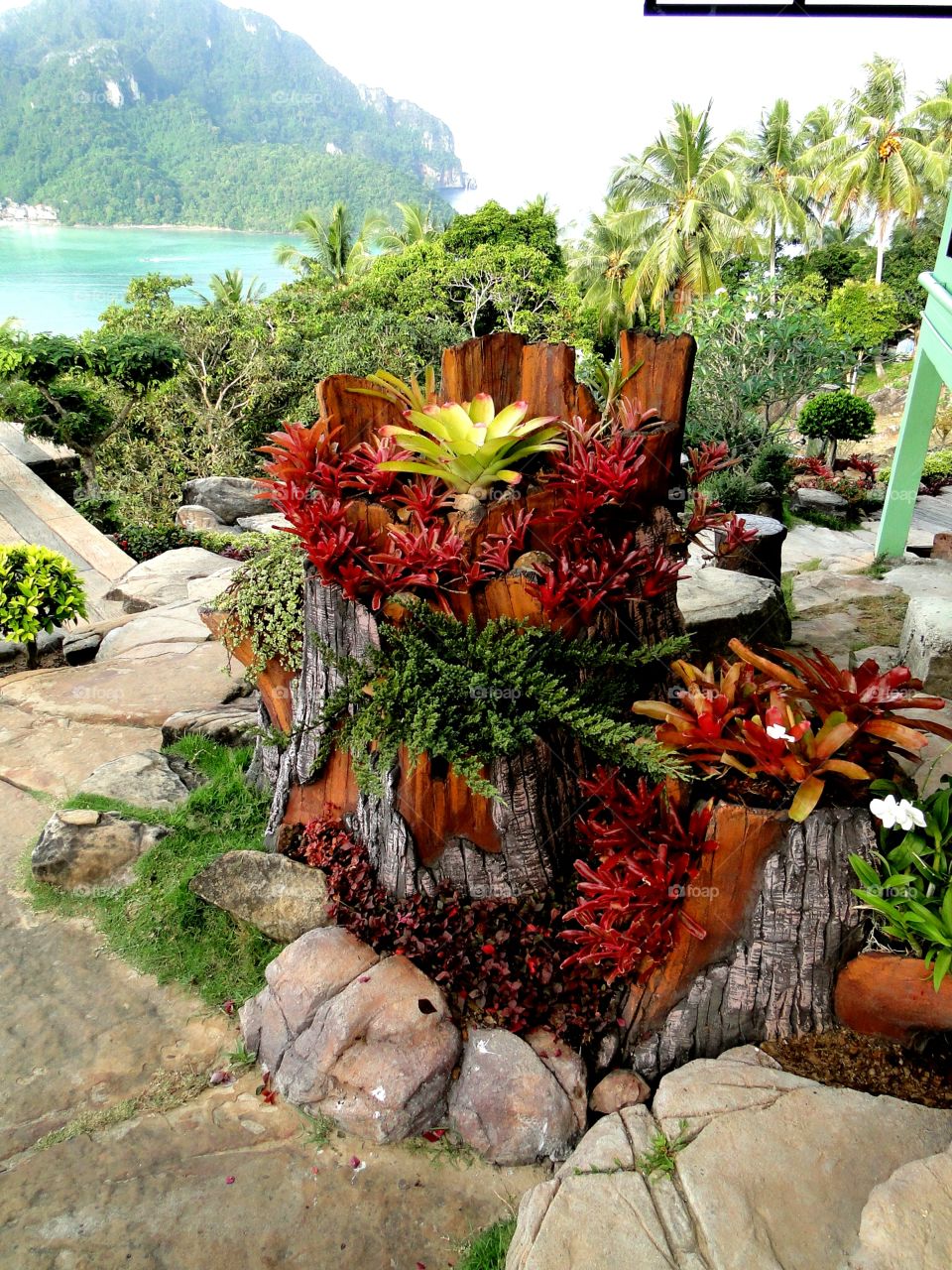 plants your theraphy