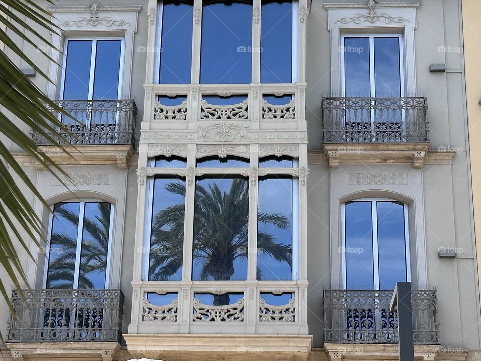 Palm#mirror#windows