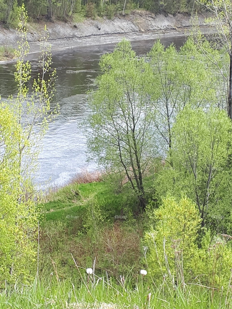 Rivière Pulperie Chicoutimi Québec Canada