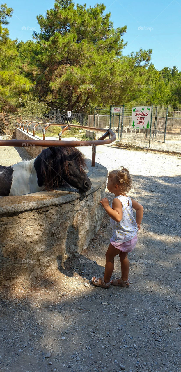 Pony 🐴and little girl.