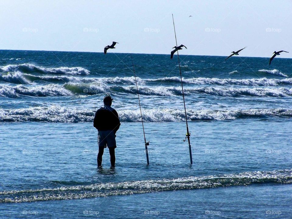 silhouettes and shadows  fisherman beach ocean birds pelicans fishing