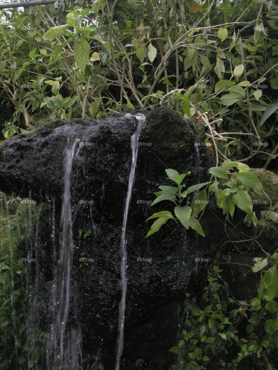waterfall