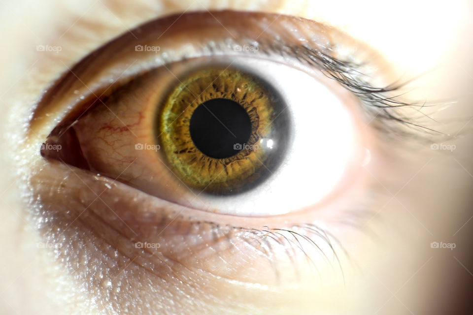 Close-Up of human eye