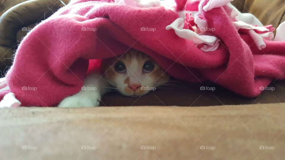 It's cold out there!