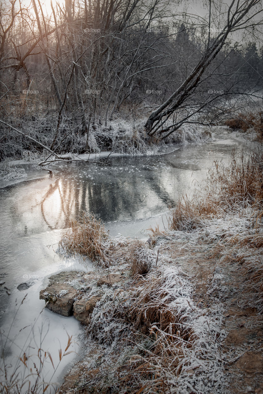 Winter landscape with river 