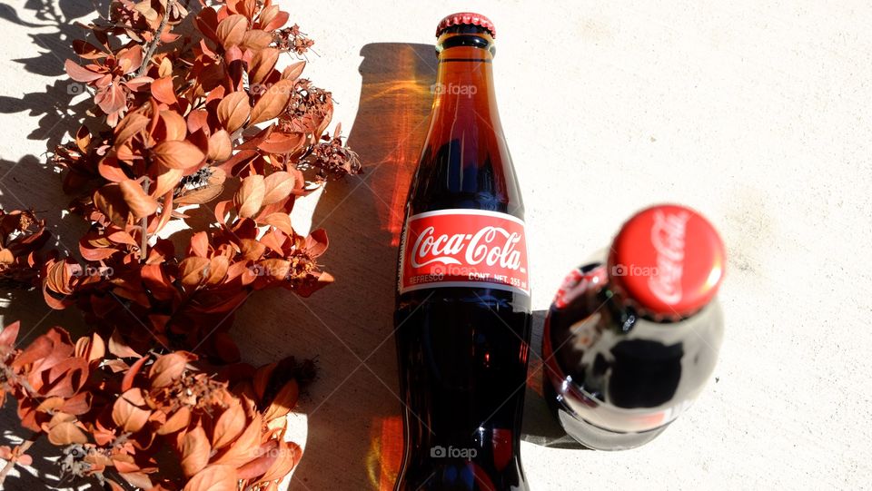 Coca Cola reflects the amber color of fall