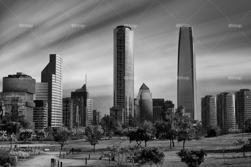 city ​​buildings seen from the park with clouds in flight in black and white