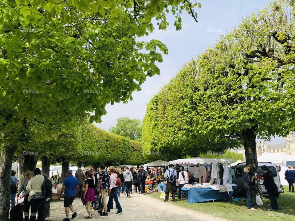 Europe travel shot- Shamborg annual antique market, a lot of people, very lively.