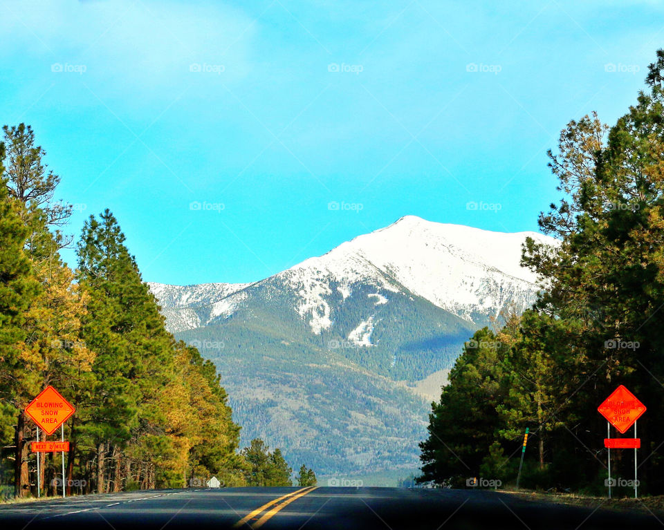 Driving - Flagstaff, Arizona