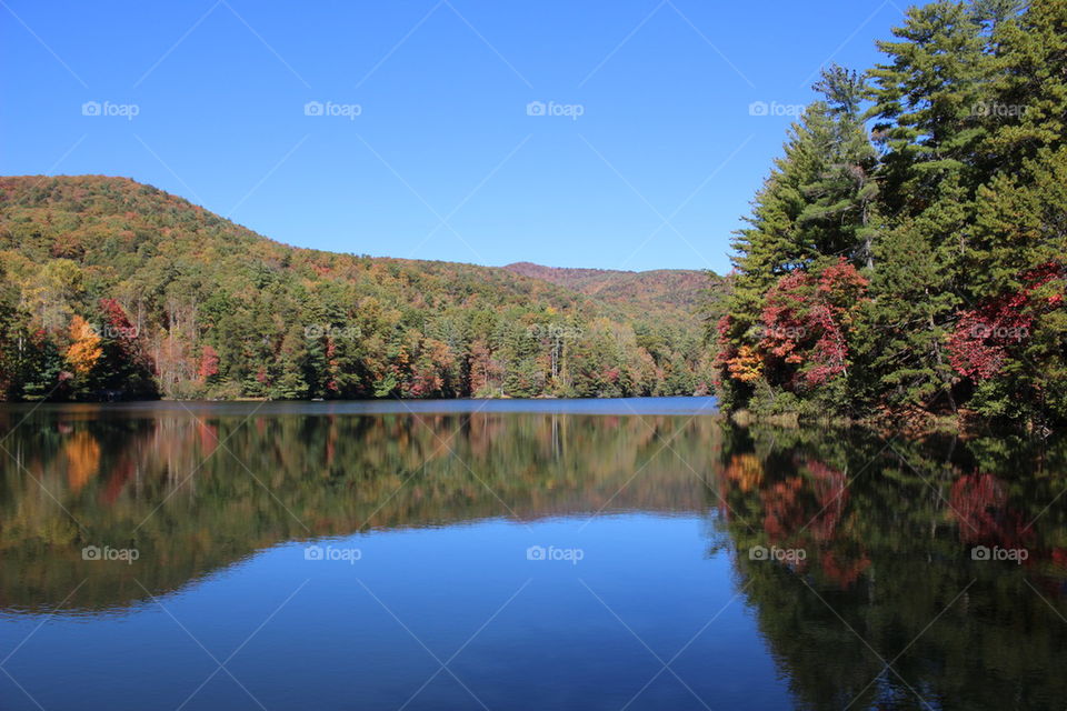 Mirrored lake