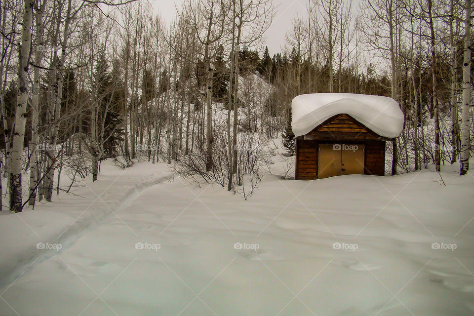 Storage building in park, steamboat springs CO