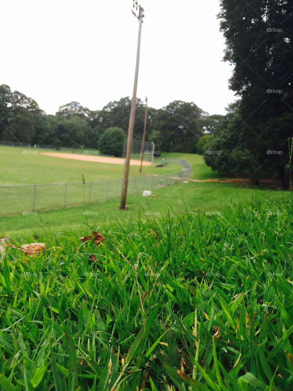 Grant park Atlanta . Grant park Atlanta baseball ground grass 