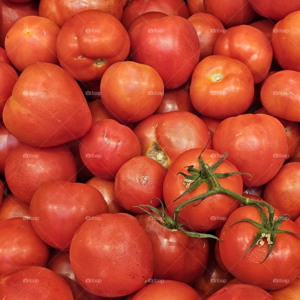 Red Explosion Tomatoes