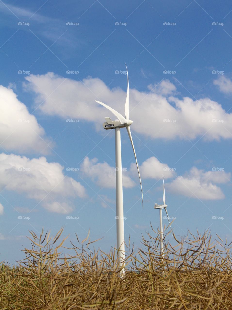 Wind turbines in Skåne, Sweden.