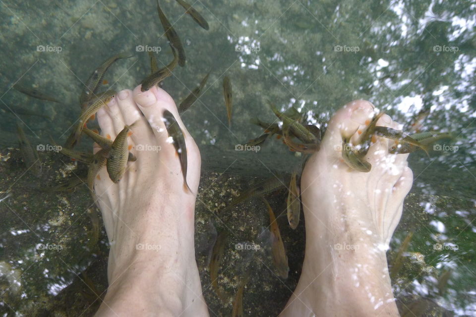 Fish clean feet
