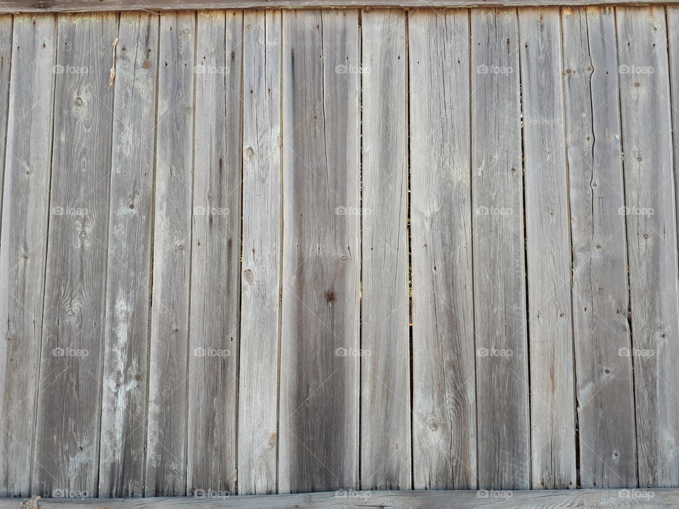 Wooden texture. Grey wood background