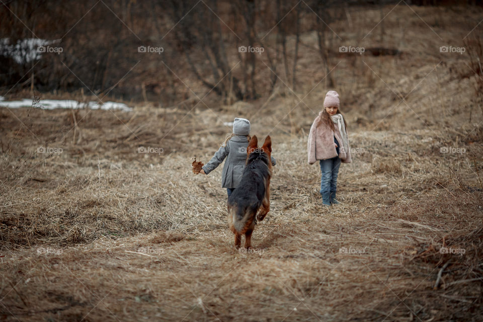 Little girl with German shepherd young male dog walking outdoor at spring day