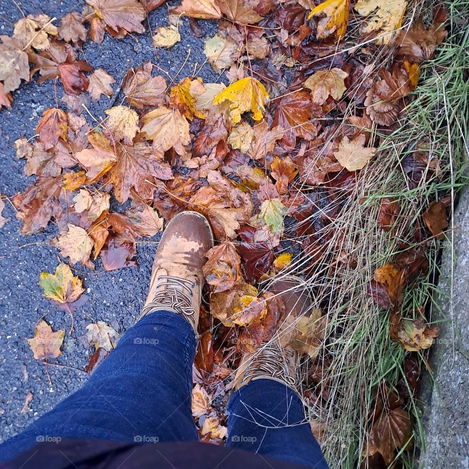 wet autumn leaves on the floor. Brown wet looking boots in the golden leaves