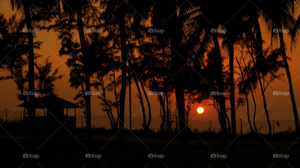 silhouette of beautiful sunset in beach beach