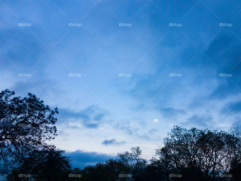 Cold and cloudy morning, some trees and cloud cover.