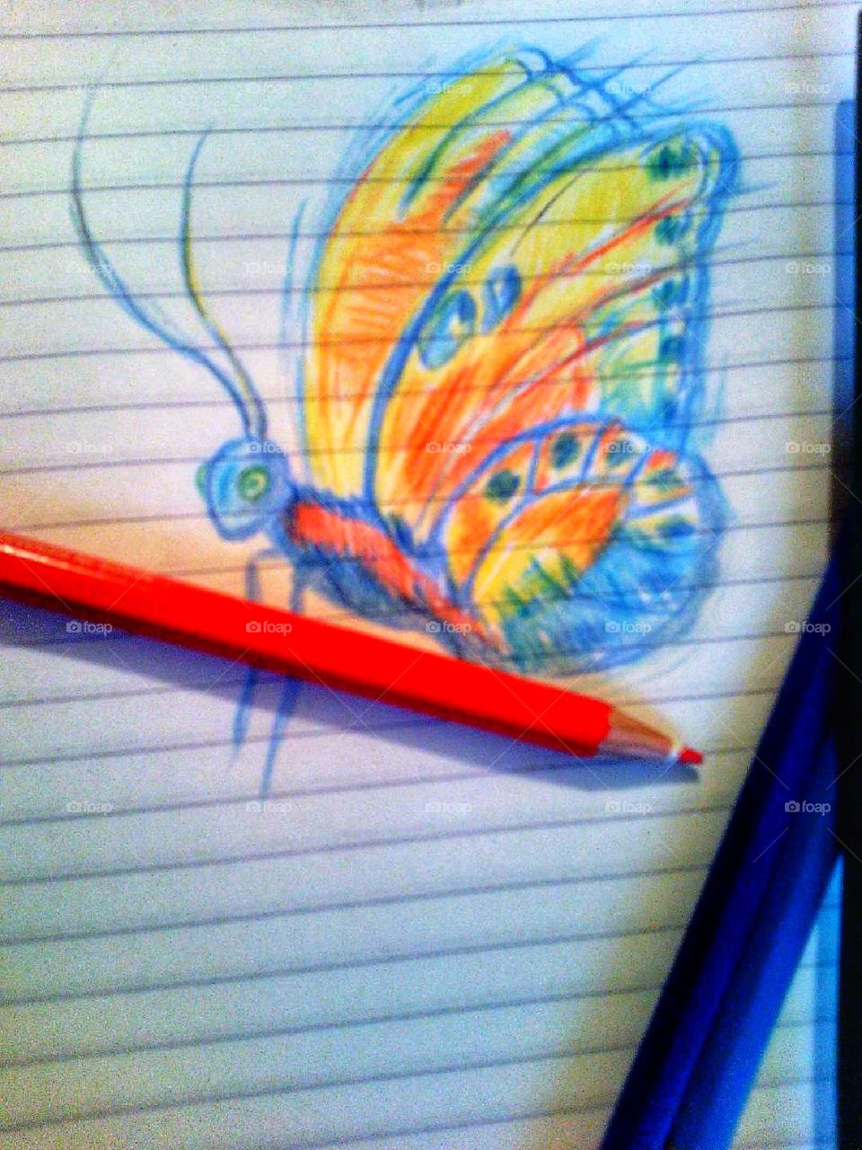 Butterfly-colorful drawing