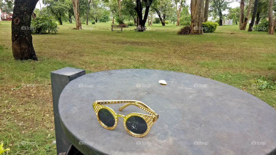 glasses and grass Park