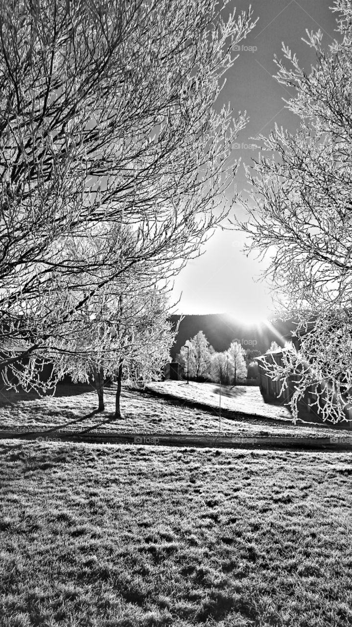 Winter in b&w