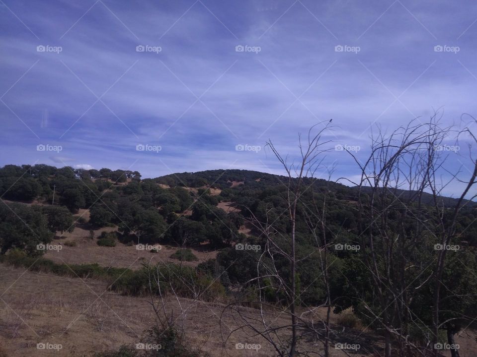 Editors' Choice - Photo of the Week