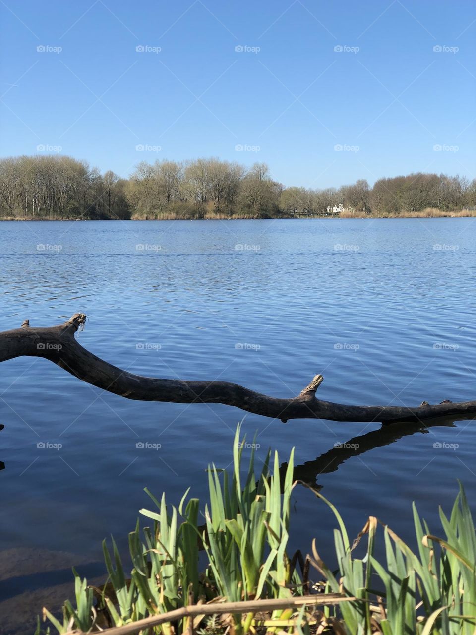 I love the deep dark colors in contrast with the bright green. The water was calm and still. Relaxing