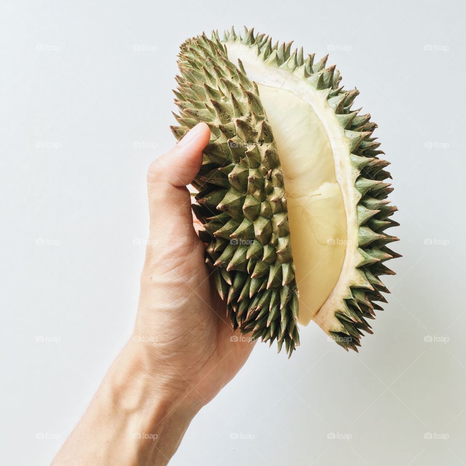 Studio shot of durian fruit
