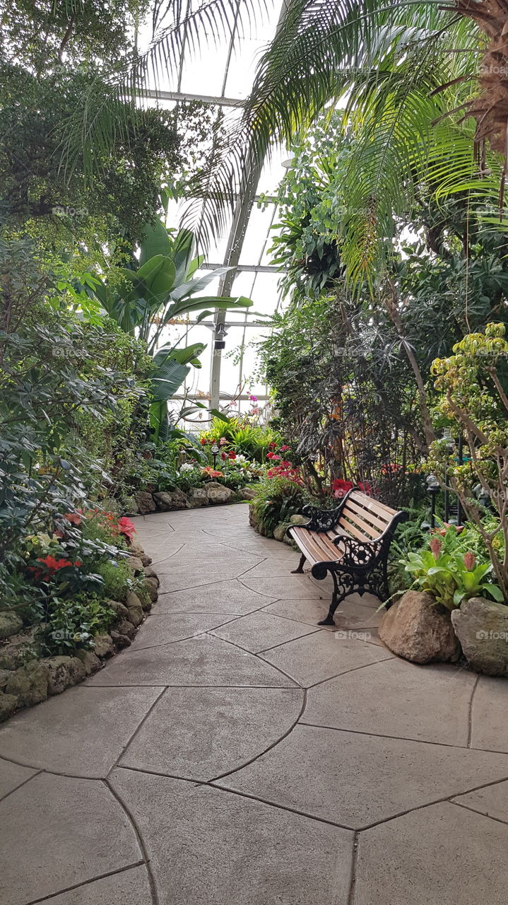 Tranquil spot, empty bench in a beautiful greenhouse full of gorgeous tropical plants