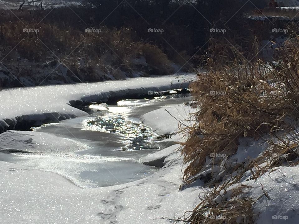 Spring is on the way