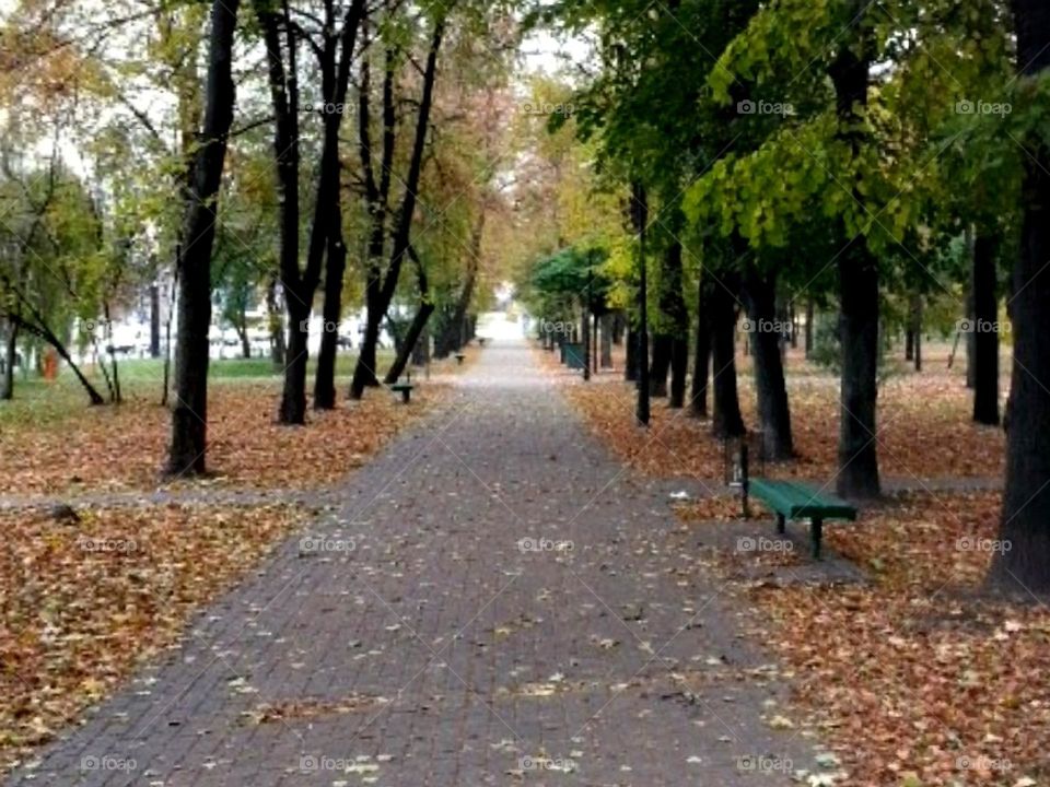 Україна, Київ куренівський парк