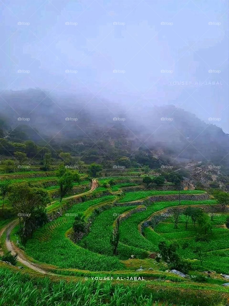 Glory be to God, the magnificent and picturesque view and the natural green trees are a view that is nothing more wonderful than it