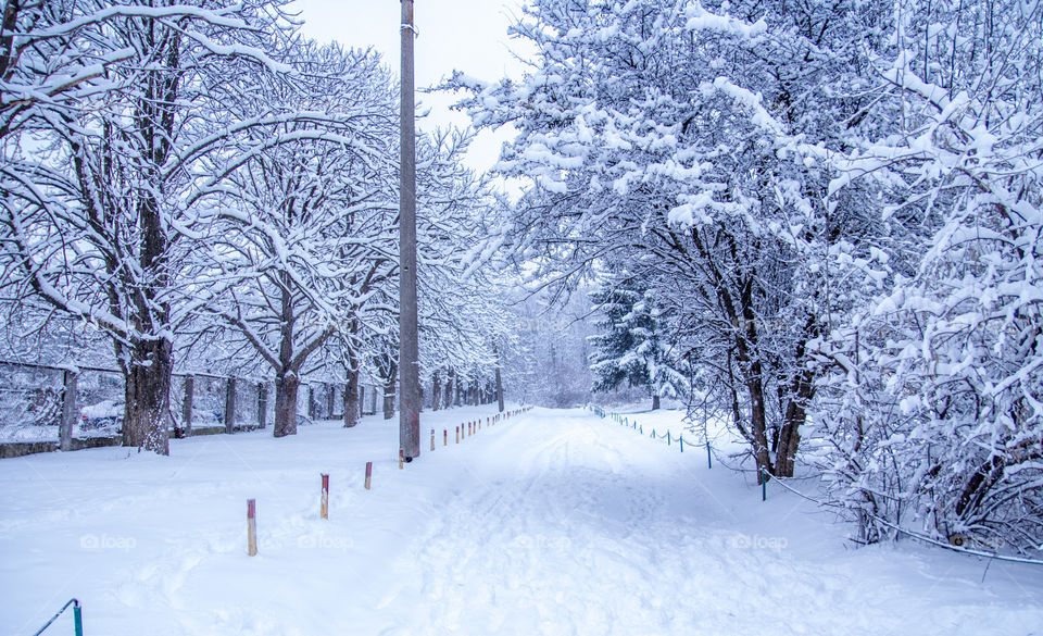 snowy weather