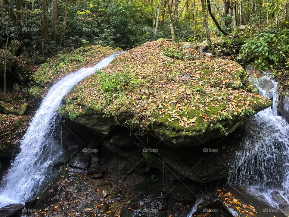 Otter falls.