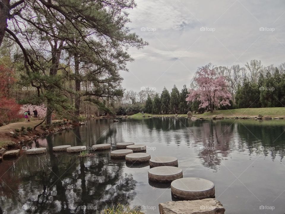 Japanese Gardens . Maymont Estate, Richmond VA