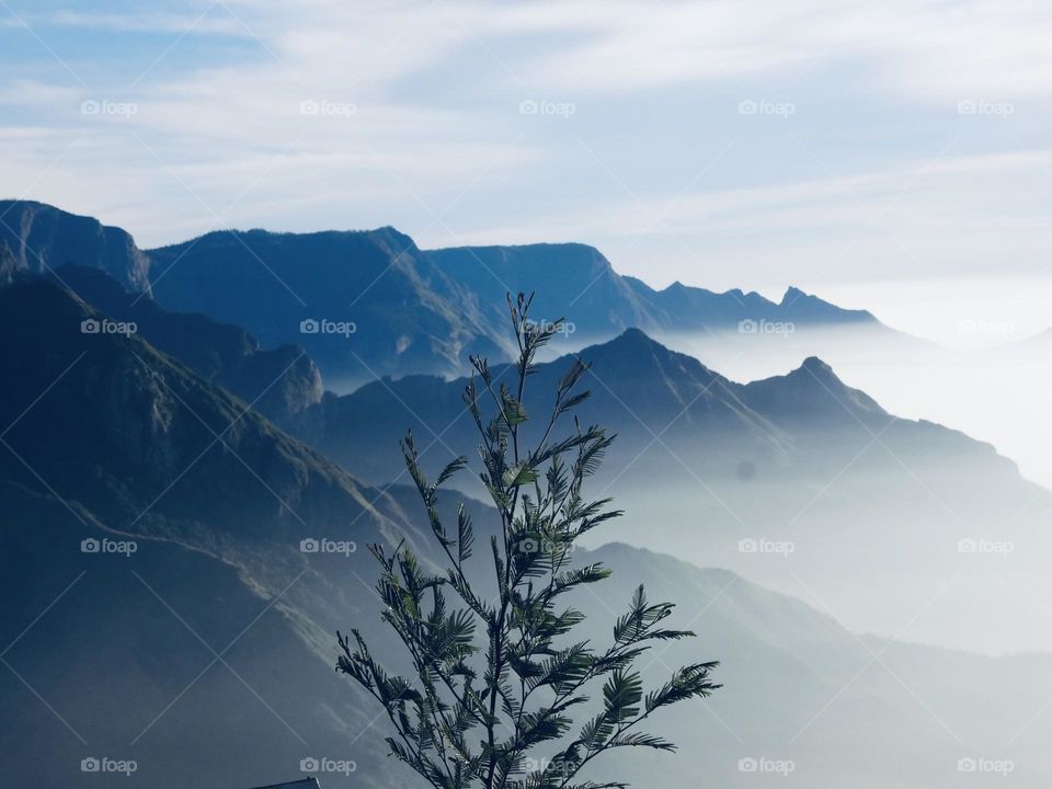 Munnar hill view 