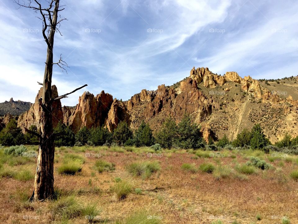 The rugged geology of Smith Rock in Central Oregon on a sunny summer day 