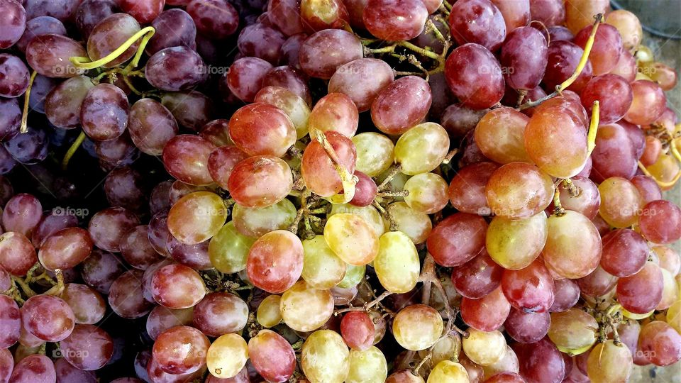 Delicious sweet grapes closep